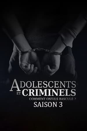 Adolescents et criminels, comment ont ils basculé ?第3季