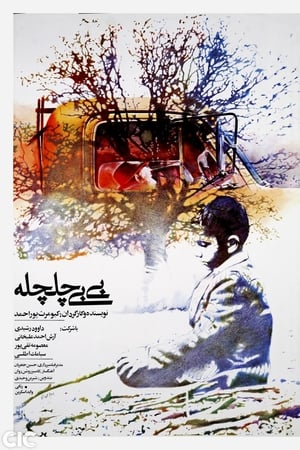 بی‌بی چلچله