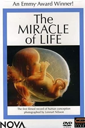The Miracle of Life