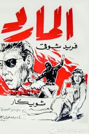 المارد
