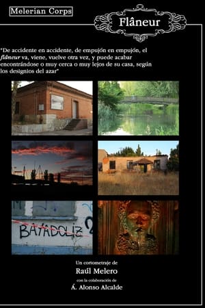 Flâneur (El paseador)