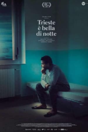Trieste è bella di notte