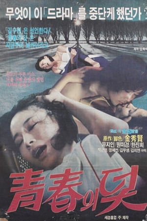 청춘의 덫