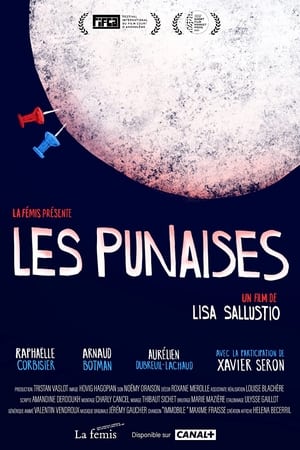 Les punaises