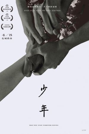 少年