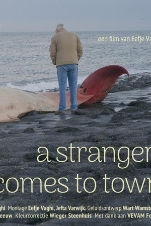 a stranger comes to town