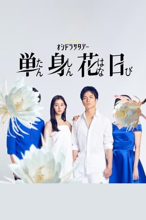 单身初恋日记