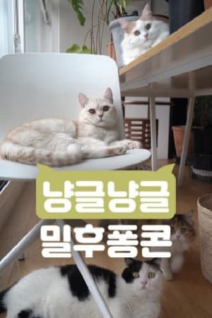 냥글냥글 밀후퐁콘