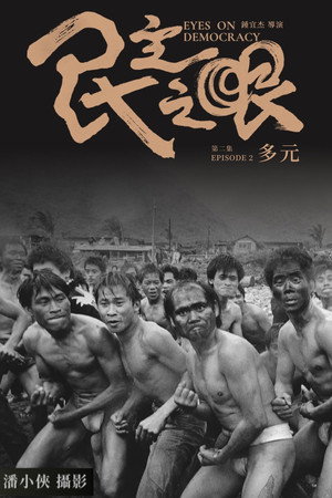民主之眼：多元