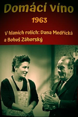 Domácí víno