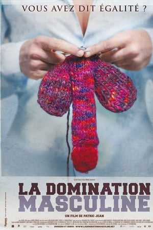 La domination masculine