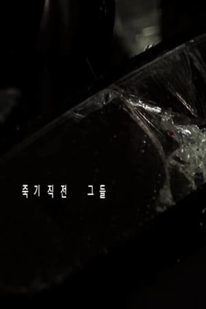 죽기 직전 그들