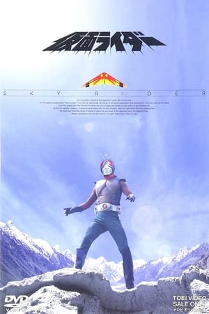 假面骑士天空骑士