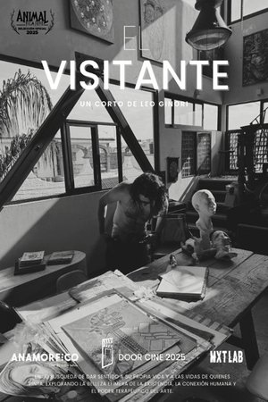 El visitante