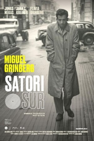Satori Sur