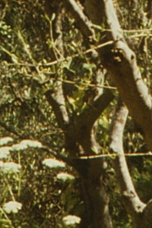 Envío 6