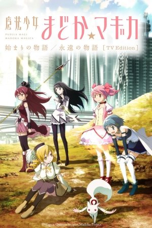 魔法少女小圆 起始的物语&永远的物语 TV剪辑版