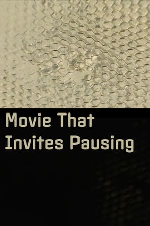 Movie That Invites Pausing