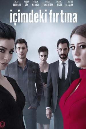 İçimdeki Fırtına