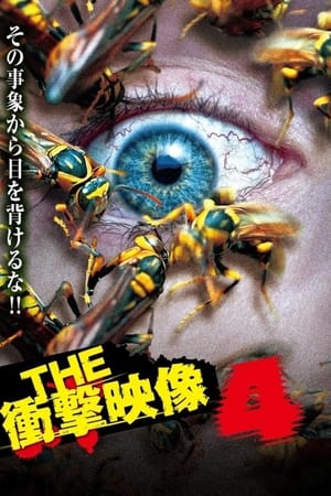 THE 衝撃映像 総集編(4) とことん狂気! 動画集
