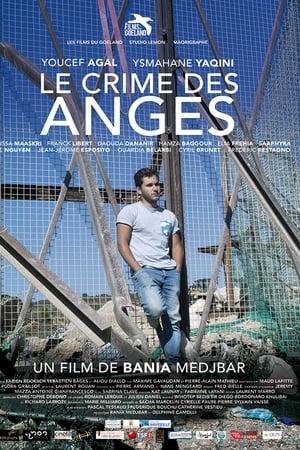 Le crime des anges