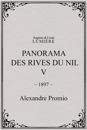 Panorama des rives du Nil, [V]