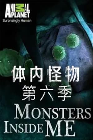 体内的怪物第6季