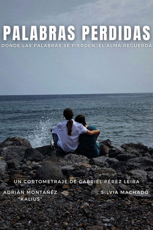 Palabras Perdidas