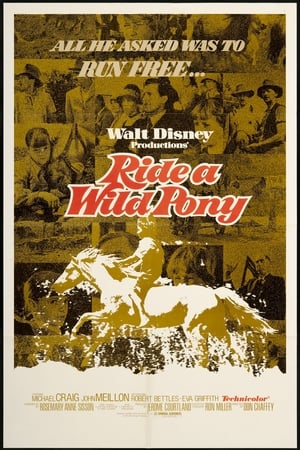 Ride a Wild Pony