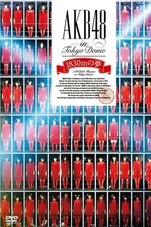 AKB48 in TOKYO DOME ～1830m的梦想～