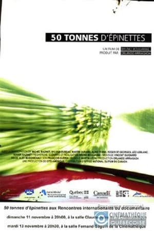 50 tonnes d'épinettes