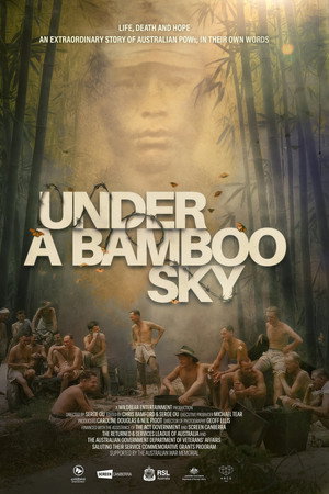 Under a Bamboo Sky