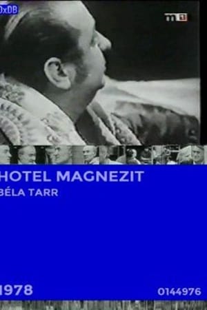 Hotel Magnezit