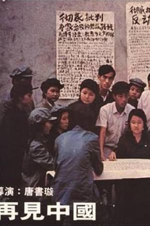 再见中国