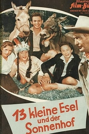 13 kleine Esel und der Sonnenhof