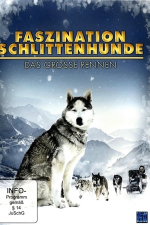 Faszination Schlittenhunde - Das große Rennen
