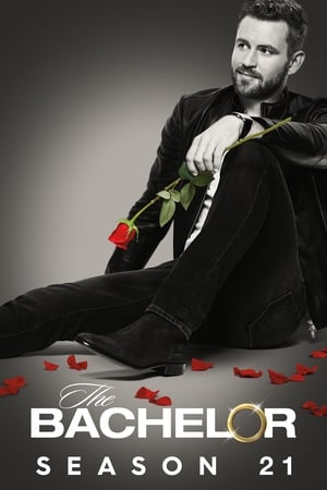 The Bachelor第21季