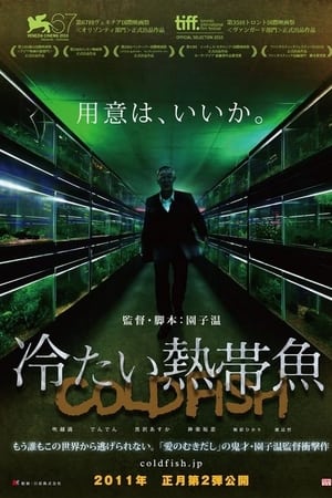 冰冷热带鱼