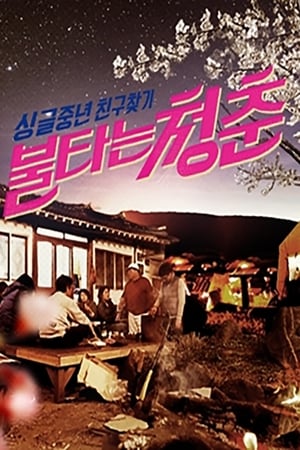 불타는 청춘
