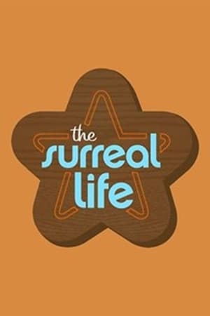 The Surreal Life第2季