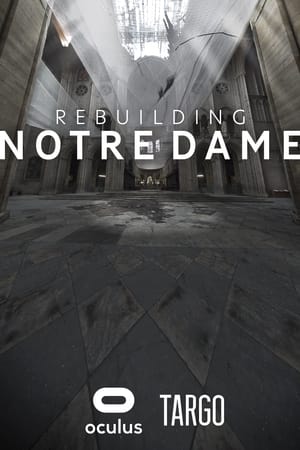 Rebuilding Notre Dame
