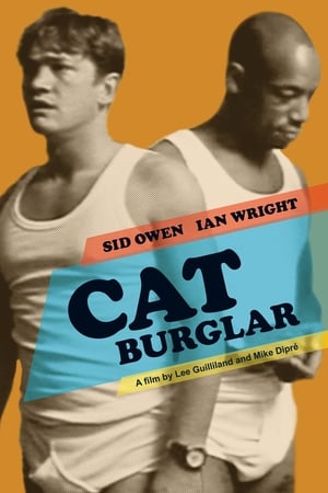 Cat Burglar
