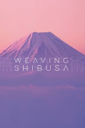 丹宁风云录