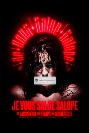 Je vous salue salope : La misogynie au temps du numérique