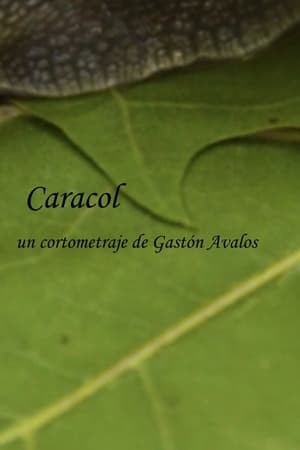 Caracol