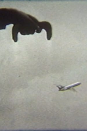 Flying