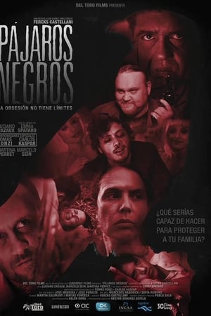 Pájaros negros