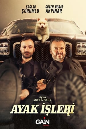 Ayak İşleri第2季
