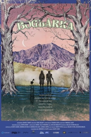 Boglárka