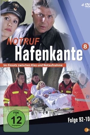 Notruf Hafenkante第8季